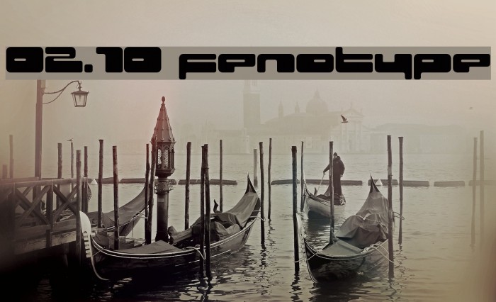 02.10 fenotype Schriftart examples