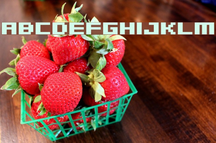 04b_09 Font examples