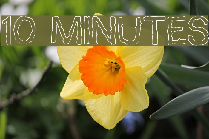 10 Minutes फ़ॉन्ट examples