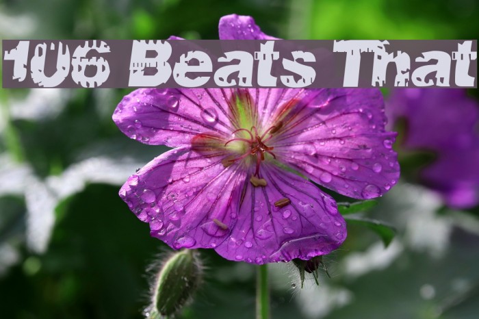 106 Beats That 字体 examples