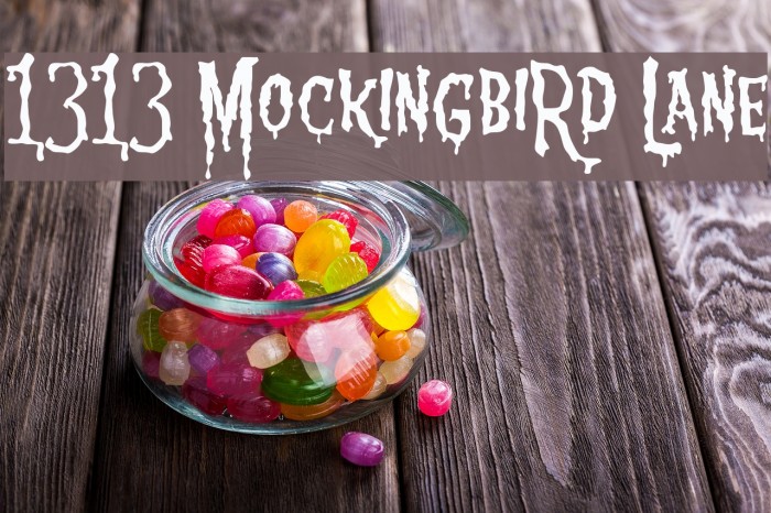 1313 MockingbiRd Lane フォント examples