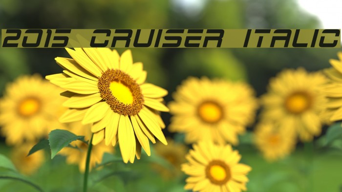 2015 Cruiser Italic Fonte examples