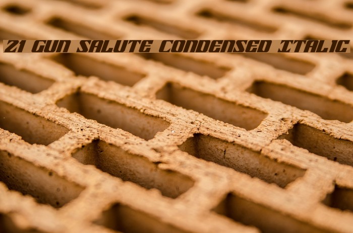 21 Gun Salute Condensed Italic Schriftart examples