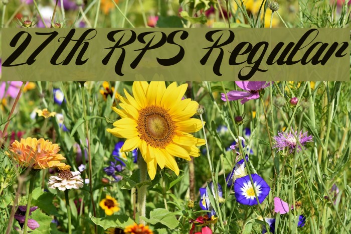 27th RPS Regular フォント examples