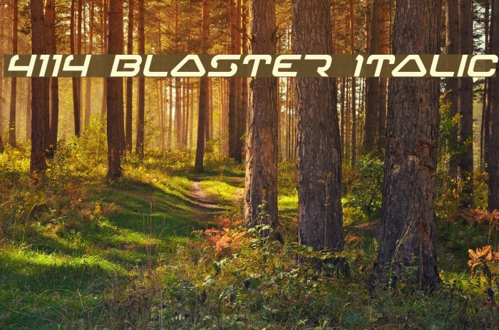 4114 Blaster Italic لخطوط تنزيل examples