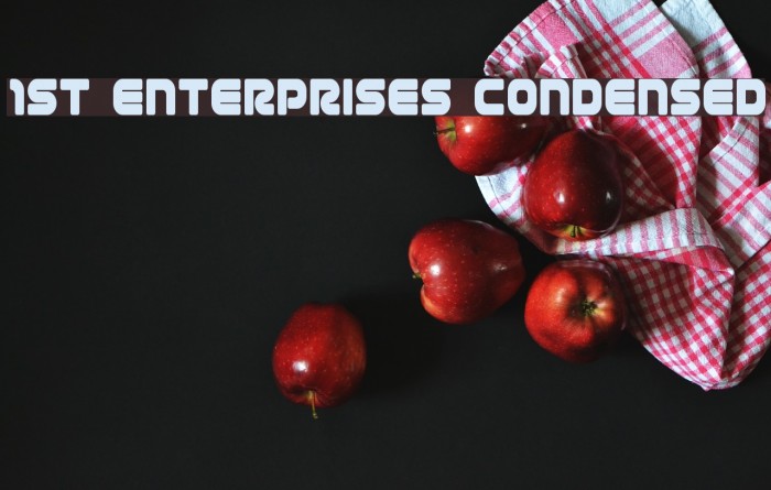 1st Enterprises Condensed Polices examples