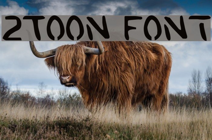 2Toon Schriftart examples