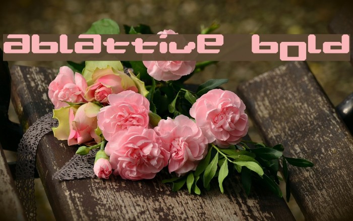 Ablattive Bold Caratteri examples