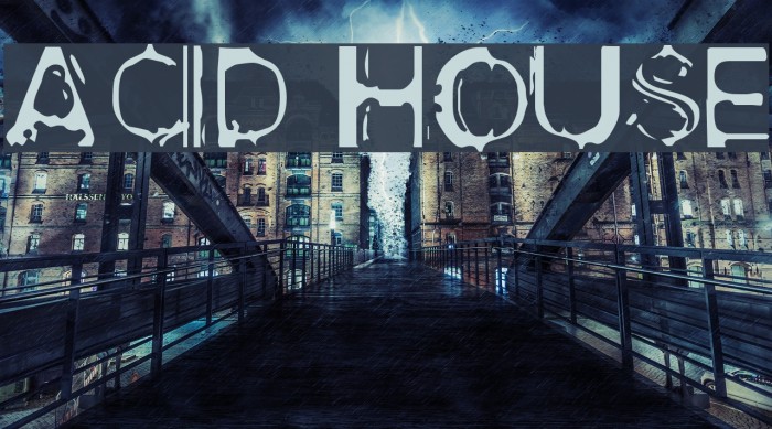 Acid House Polices examples