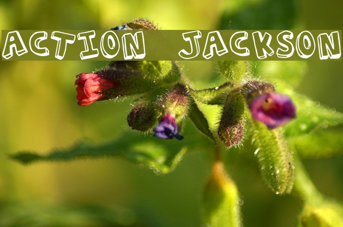 Action Jackson Fuentes examples