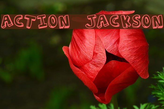 Action Jackson Fuentes examples