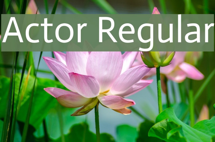 Actor Regular لخطوط تنزيل examples