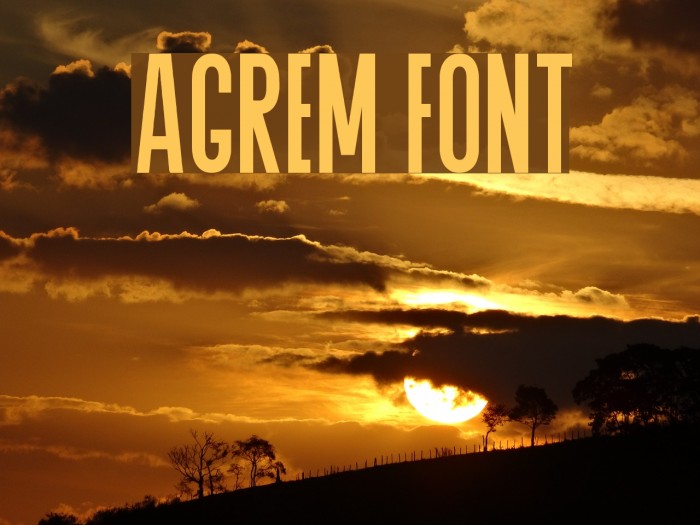 Agrem フォント examples