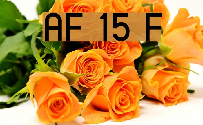 AlFars 15 Farnaz Fuentes examples