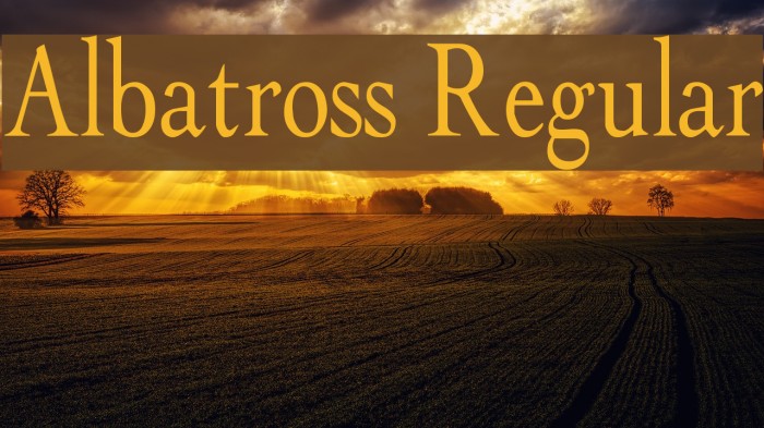 Albatross Regular Schriftart examples