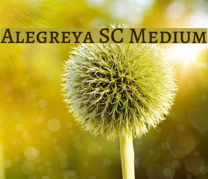 Alegreya SC Medium Fuentes examples