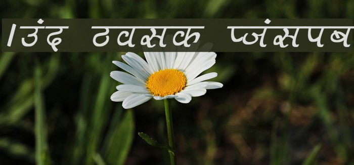 Aman Bold Italic لخطوط تنزيل examples