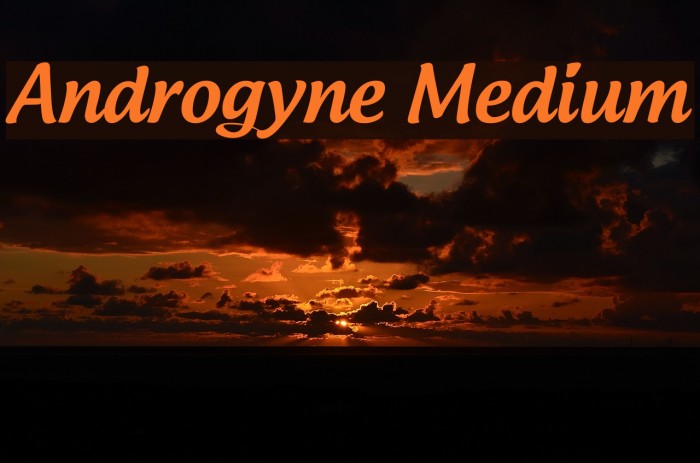 Androgyne Medium Caratteri examples