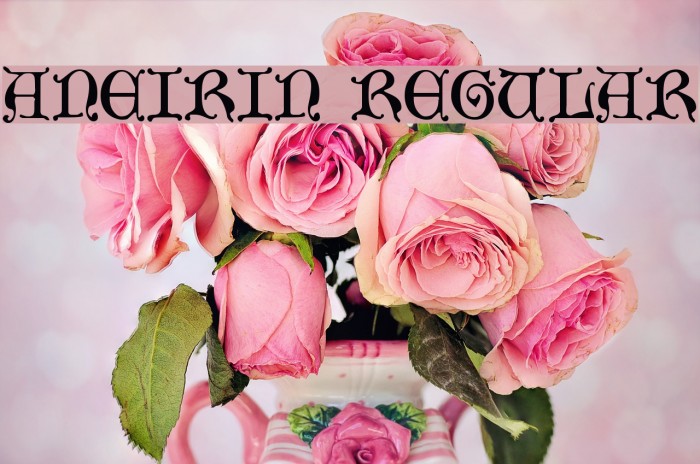 Aneirin Regular Font examples
