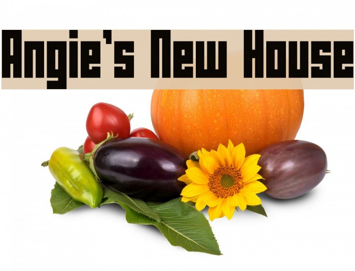 Angie's New House Шрифта examples
