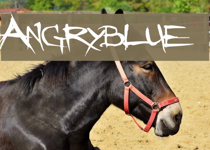 Angryblue Polices examples