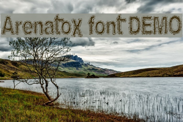 Arenatox font DEMO Font examples