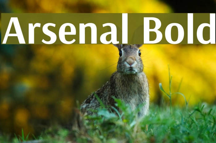 Arsenal Bold Шрифта examples