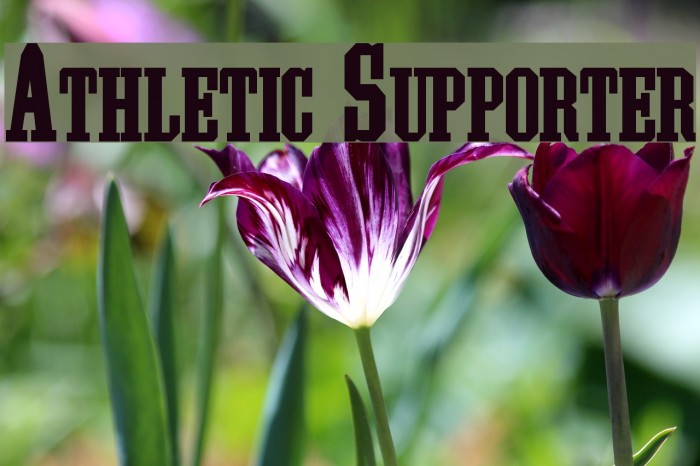 Athletic Supporter لخطوط تنزيل examples
