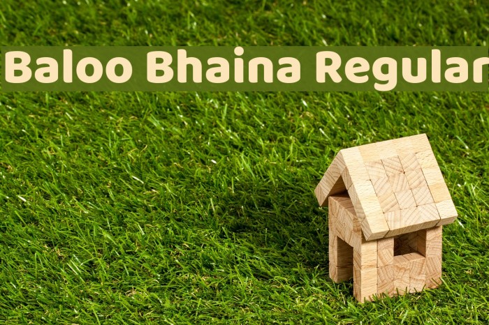 Baloo Bhaina Regular لخطوط تنزيل examples