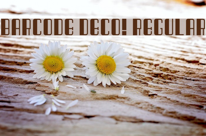 Barcode Deco! Regular Font examples