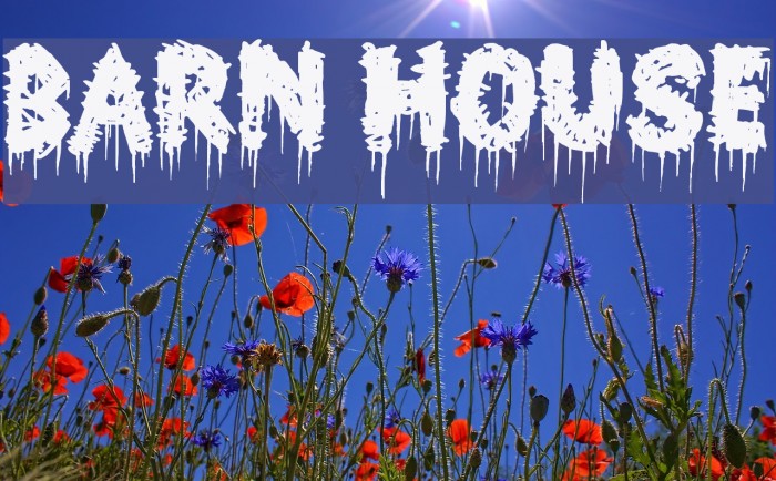 Barn House フォント examples