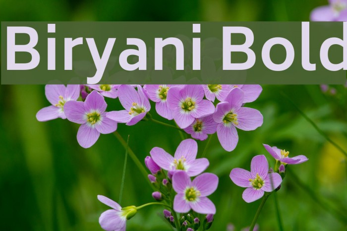 Biryani Bold Шрифта examples