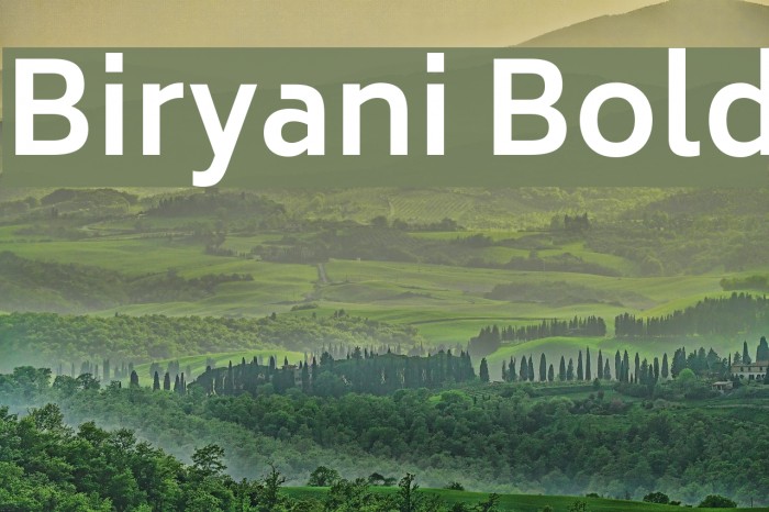 Biryani Bold Шрифта examples