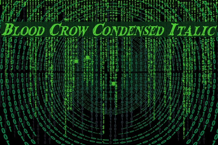 Blood Crow Condensed Italic Schriftart examples
