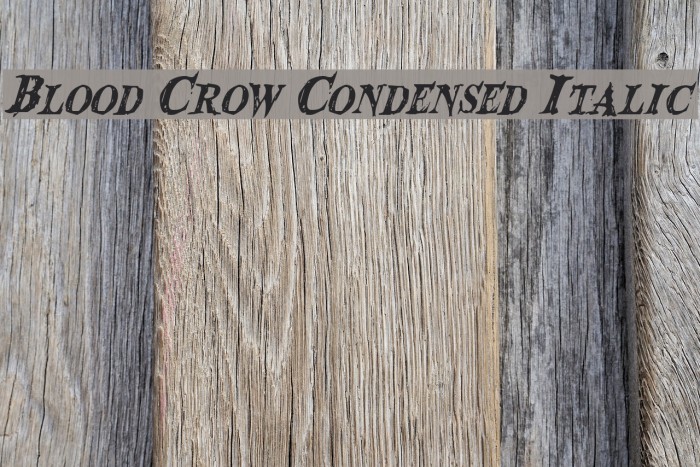 Blood Crow Condensed Italic Schriftart examples