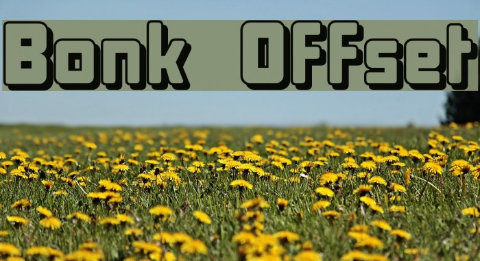 Bonk Offset Schriftart examples