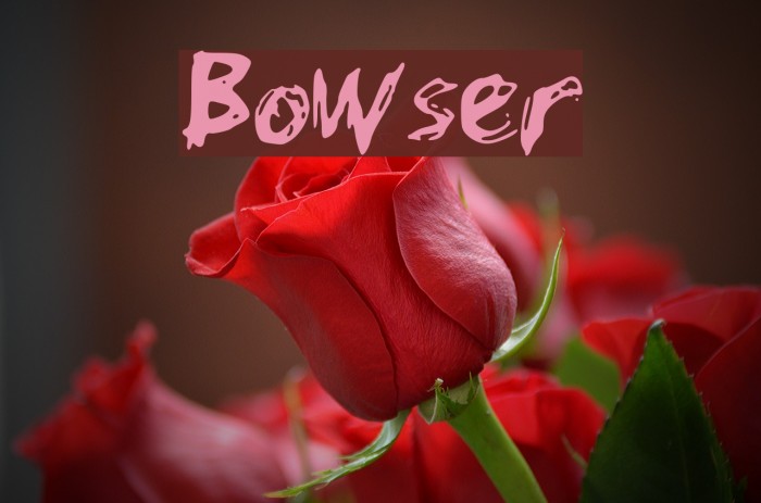 Bowser 字体 examples