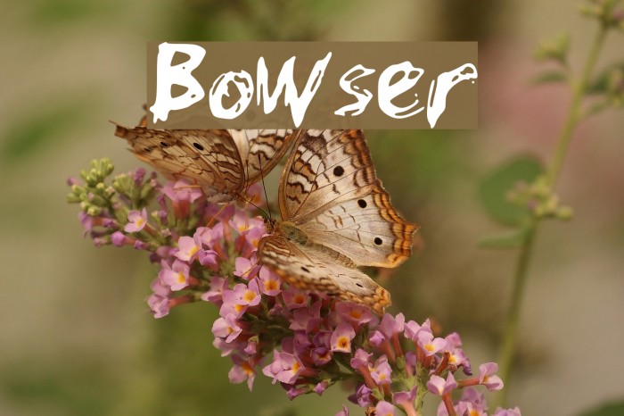 Bowser 字体 examples