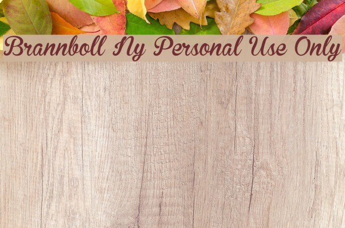 Brannboll Ny Personal Use Only Caratteri examples