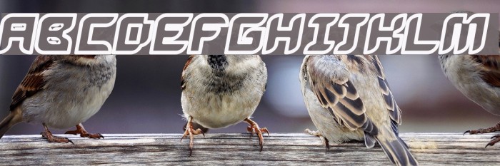 Bug2K Oblique Fonte examples