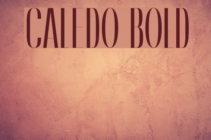 Caledo Bold フォント examples