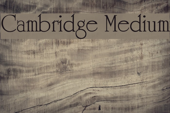 Cambridge Medium Font examples