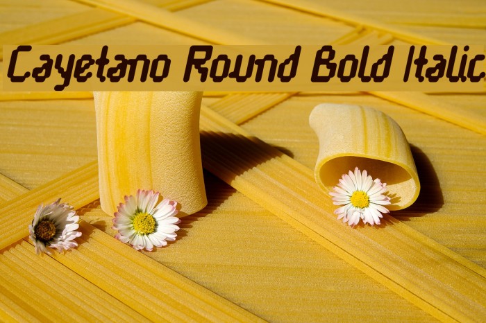 Cayetano Round Bold Italic Polices examples