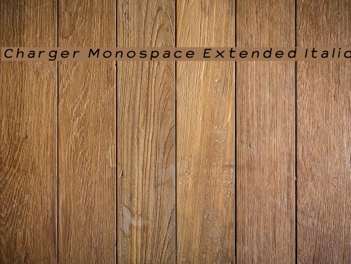 Charger Monospace Extended Italic フォント examples