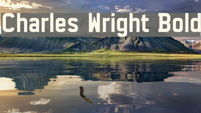 Charles Wright Bold Caratteri examples