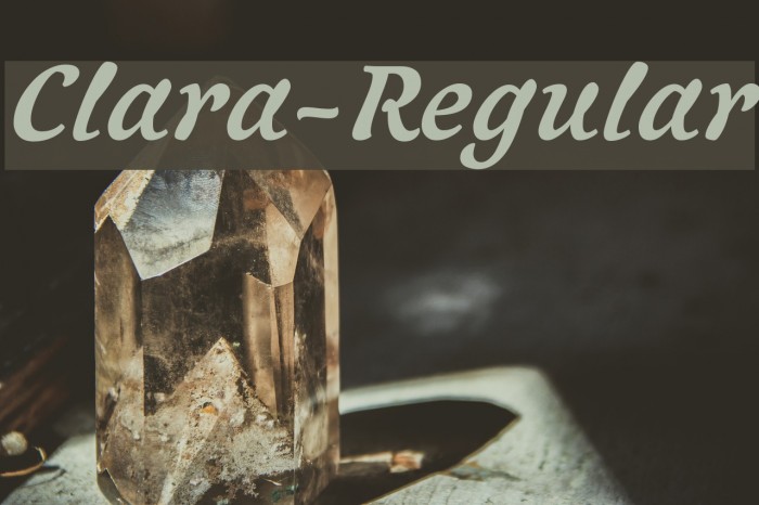 Clara-Regular フォント examples