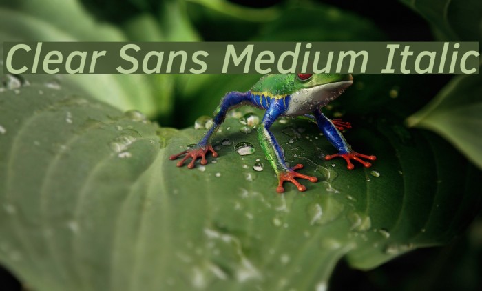 Clear Sans Medium Italic لخطوط تنزيل examples