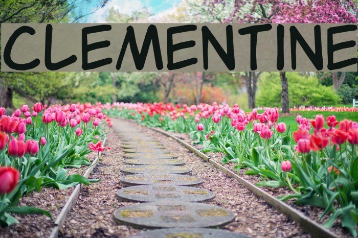 Clementine Font examples