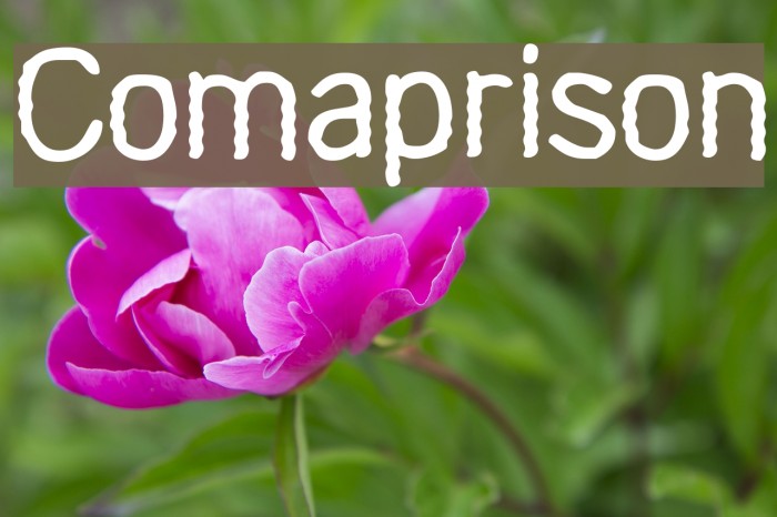 Comaprison Fuentes examples