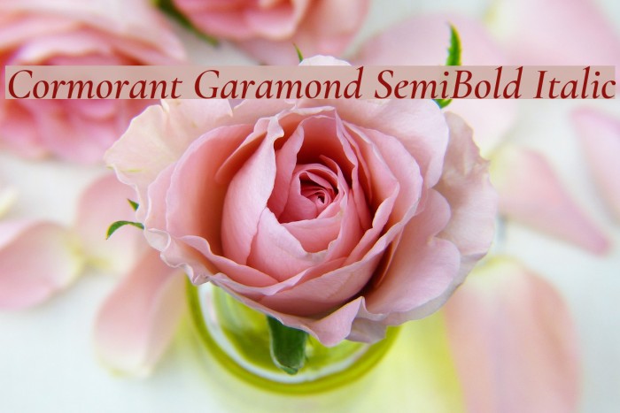 Cormorant Garamond SemiBold Italic Font examples